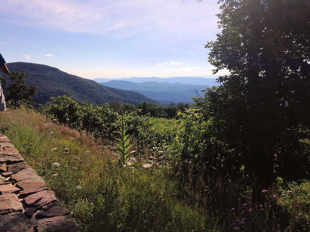 Overlook on Skyline Drive with Blue Ridge mountain views